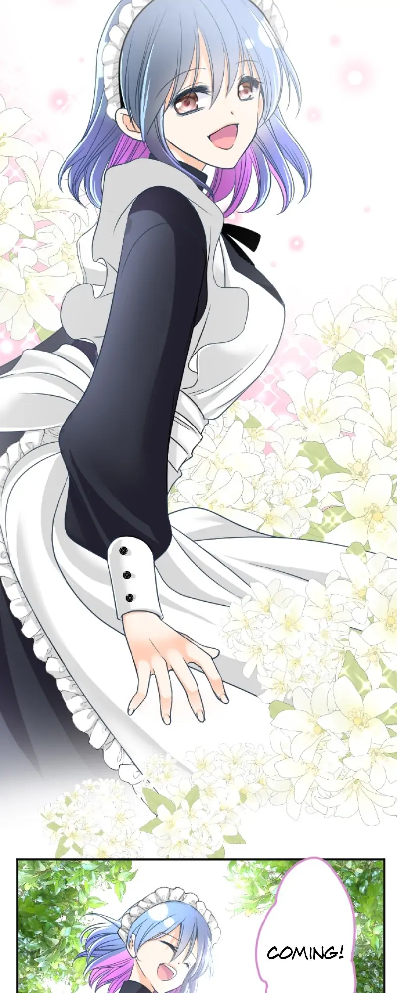 36023497 800 2000 107048